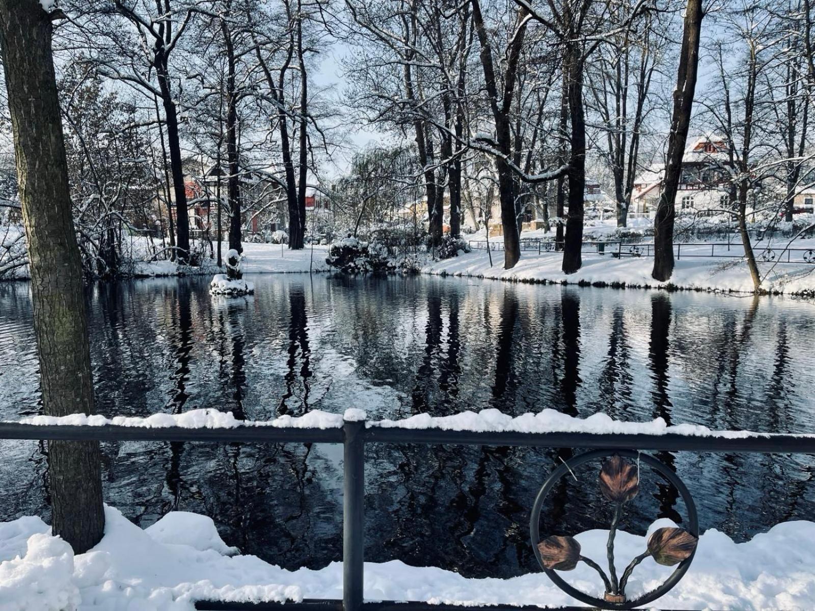 Ubytovani Javorka Ceska Trebova Exterior foto